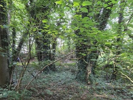 Land at Whitepost Lane, Gravesend